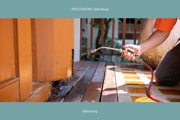 PEST CONTROL Gatlinburg
